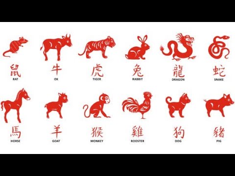 Scopri il tuo segno zodiacale cinese del 1978: una guida illuminante!